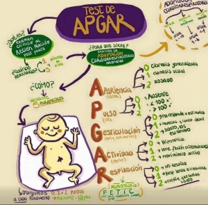 test de apgar