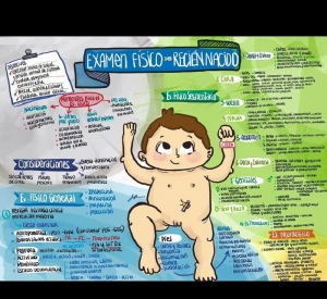 Examen físico del recien nacido