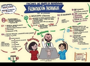 Funciones del equipo de neonatologia en reanimación neonatal