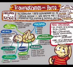 Traumatismos del parto